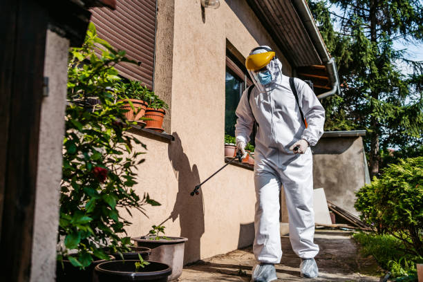 Best Best Pest Control Companies  in Yeagertown, PA